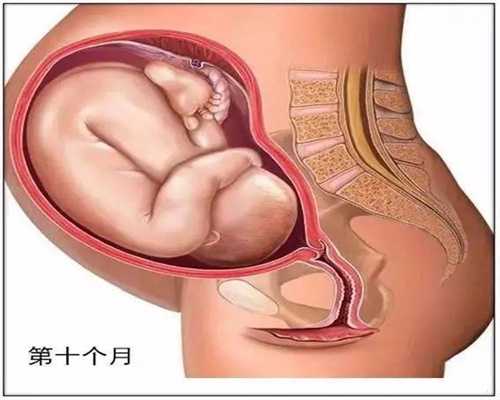 商洛代孕-商洛代孕选性别-商洛如何能找代孕妈妈