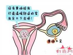 无锡哪里可以做共卵试管，正规供卵助孕中心