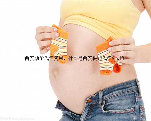 西安助孕代怀费用，什么是西安供卵代怀公司？